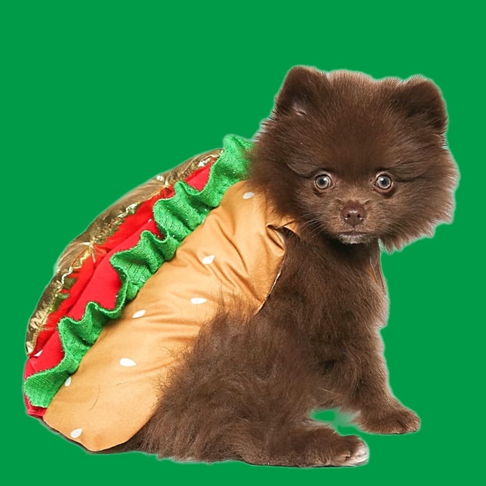 PET HOTDOG COSTUME NWT